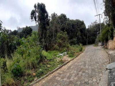 Terreno para Venda, em Florianópolis, bairro Monte Verde